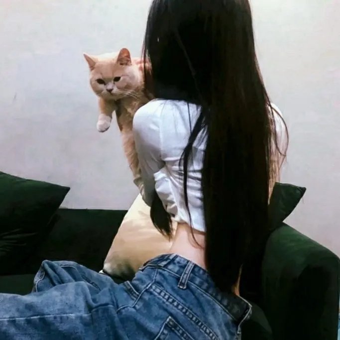 姐妹老板